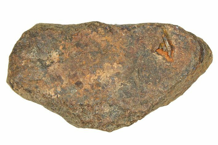 Mundrabilla Iron Meteorite ( g) - Australia #374354